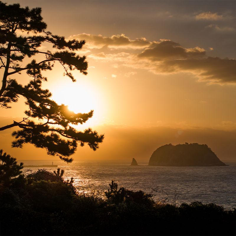 Jeju