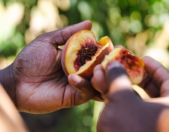 Farmers’ Bounty </br>– A Culinary Collaboration
