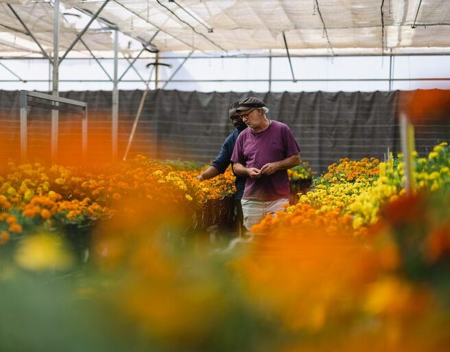 Farmers’ Bounty </br>– A Culinary Collaboration