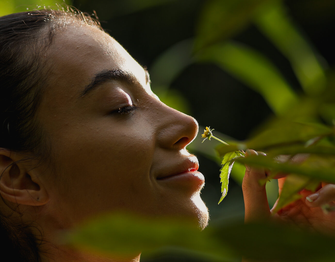 Journey to Exceptional Taste: Forage, Feast & Unwind