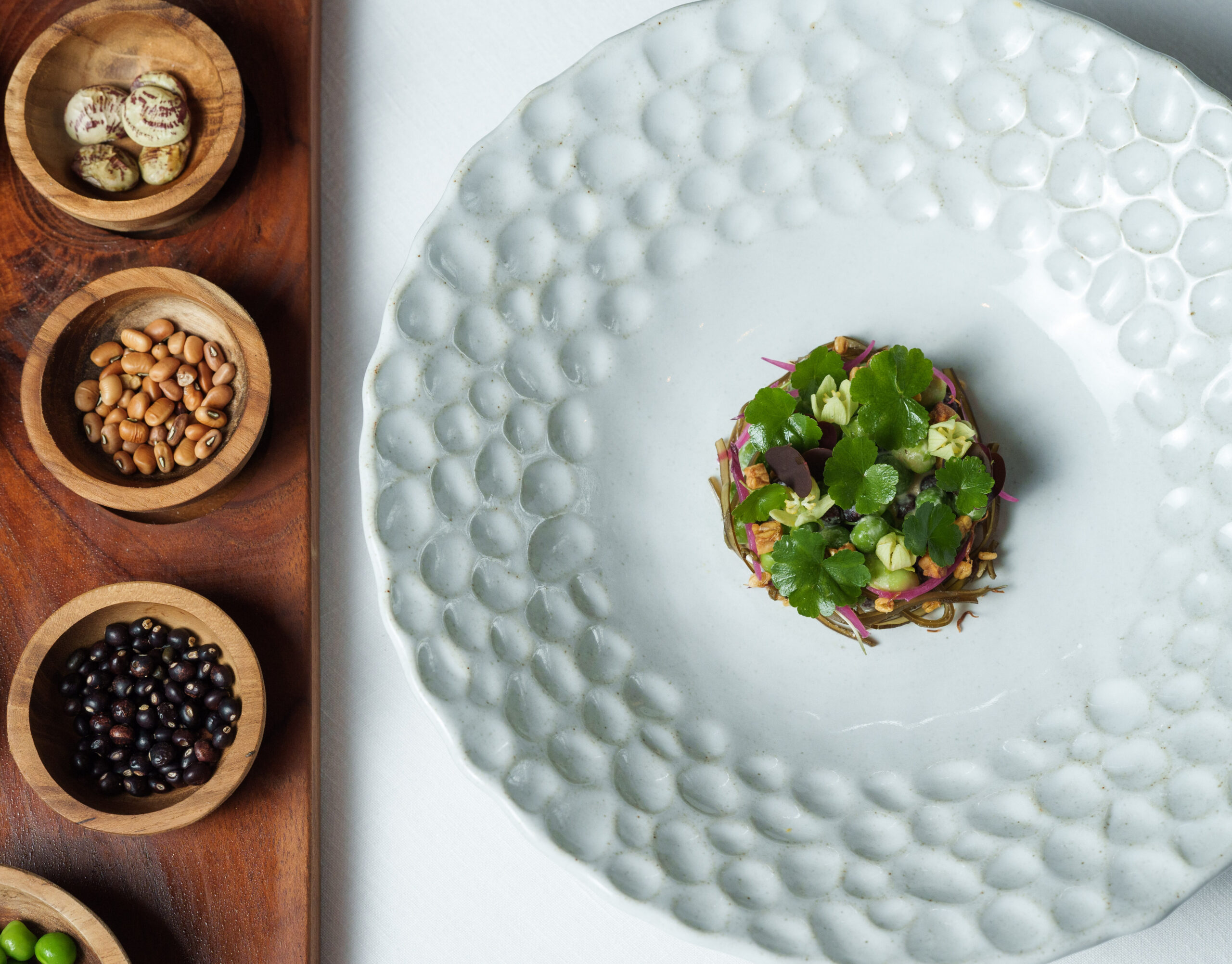 Heirloom PM: A Four-Hands Dialogue of Land and Fermentation
