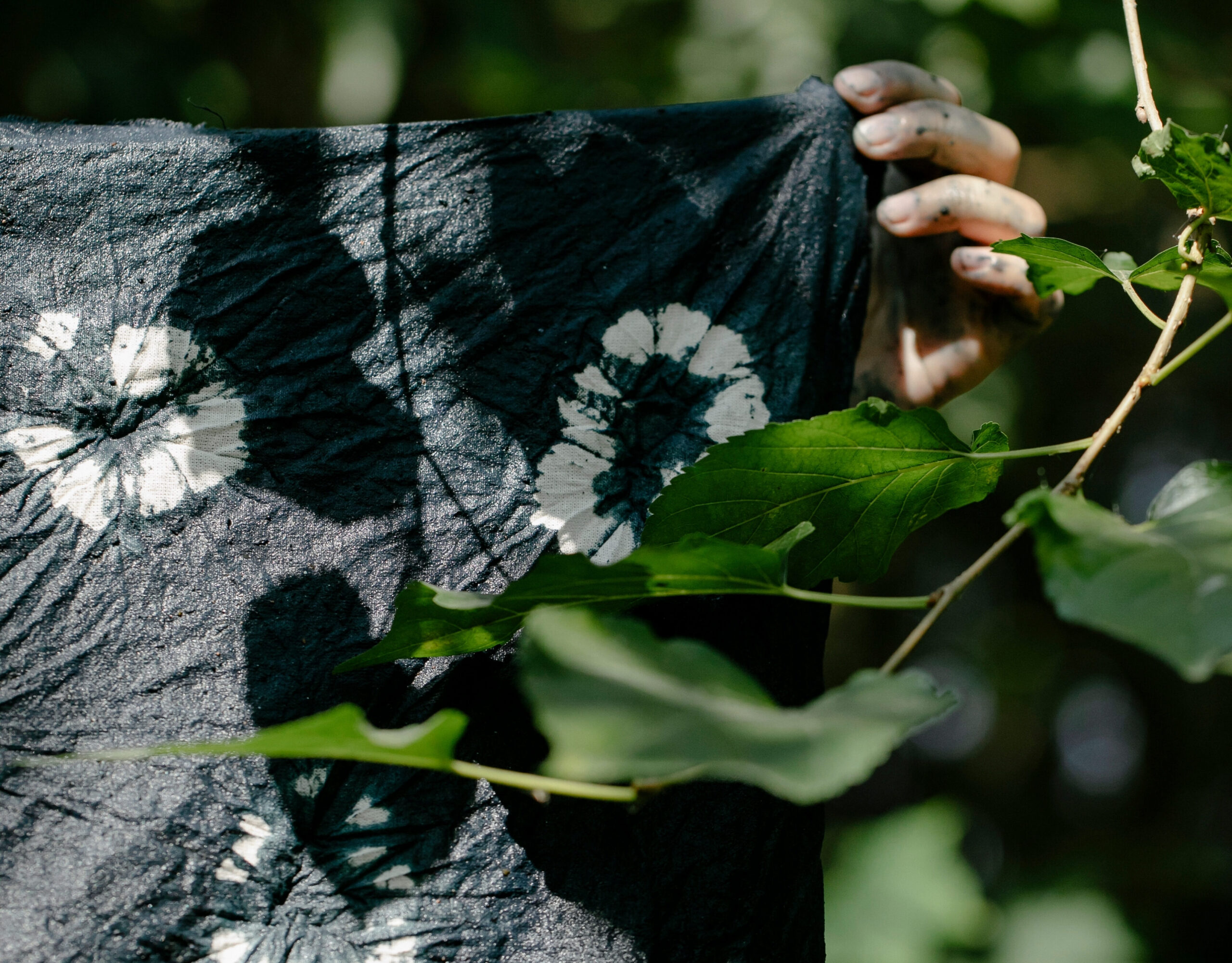 Journey of Exceptional Taste: Natural Dye Textile Workshop