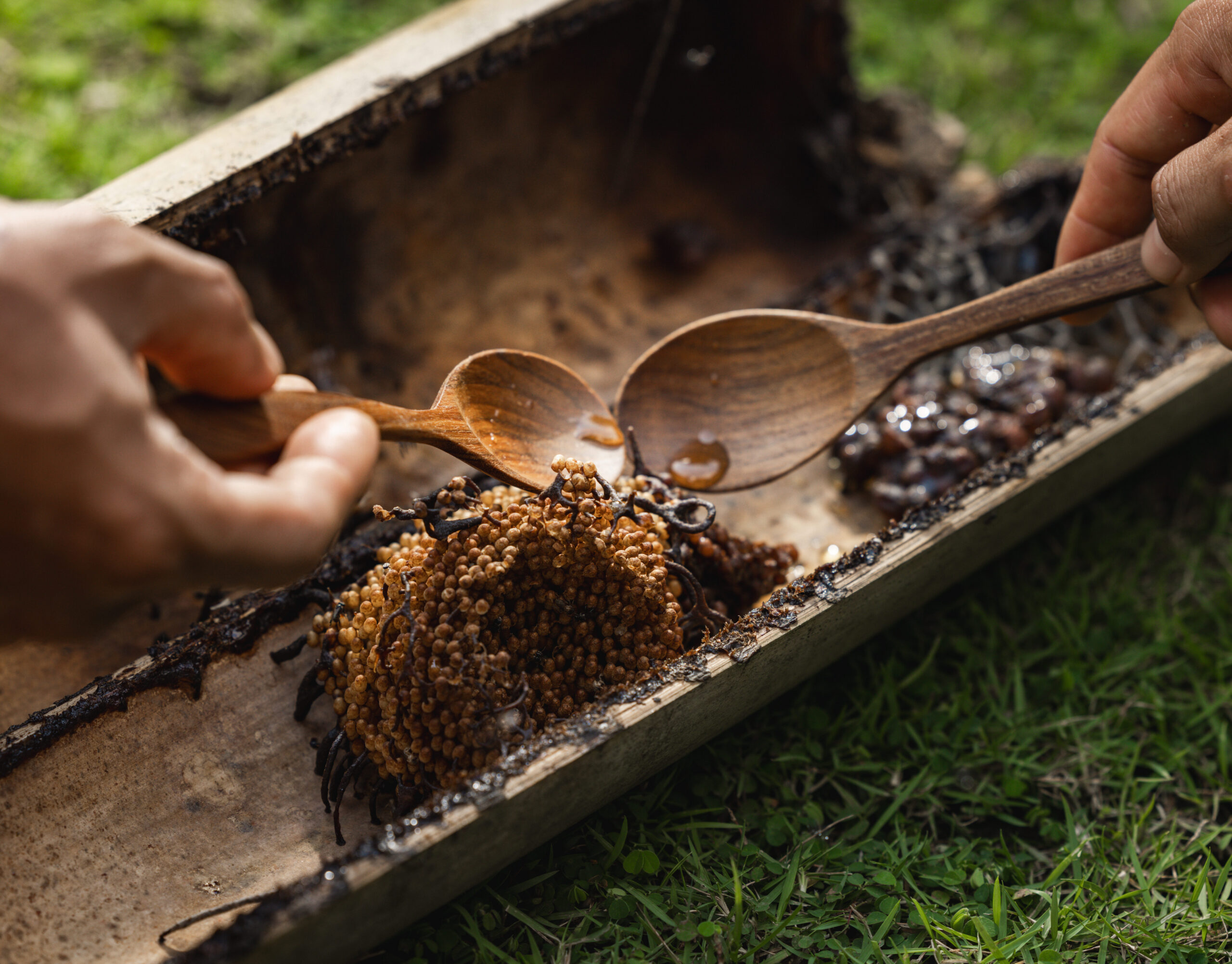 Journey to Exceptional Taste: Forage, Feast & Unwind